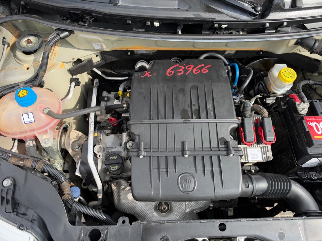 Fiat Panda 1.2 4x4 Climbing UNICO PROPRIETARIO