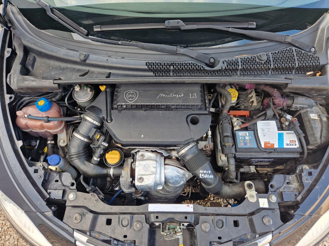 Lancia Ypsilon 1.3 MJT 16V 95 CV 5 porte S&S Platinum