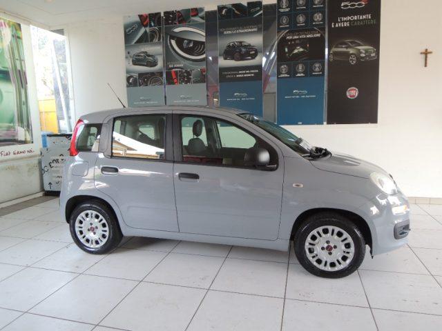FIAT Panda 1.2 GPL EasyPower Easy