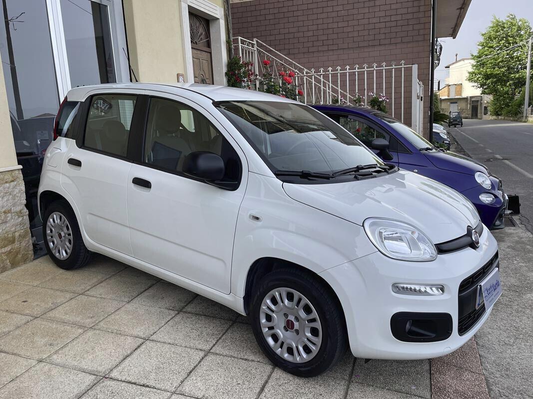 Fiat Panda 1.2 Easy S&S 69cv my19 "Adatta anche per neopatentati" (fendinebbia-Bluetooth - USB-Block System)