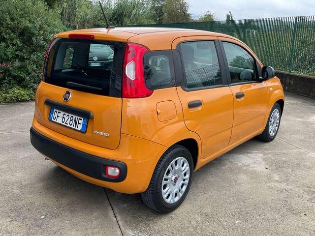 Fiat Panda Panda 1.0 FireFly Hybrid S&S IVA ESPOSTA