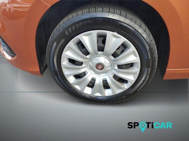 FIAT Tipo 1.5 Hybrid DCT 5 porte