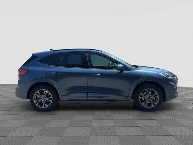 FORD Kuga Kuga 2.5 Plug In Hybrid 225 CV CVT 2WD ST-Line