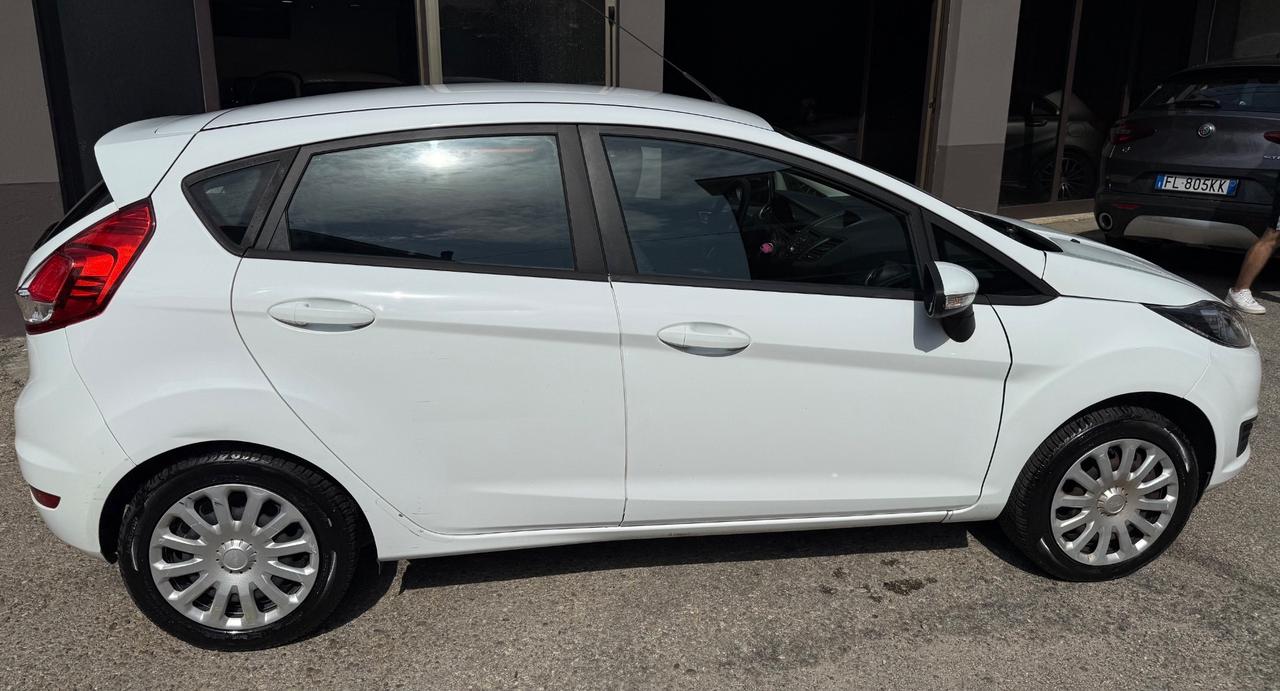 Ford Fiesta 1.2 82CV 5 porte Black & White Edition