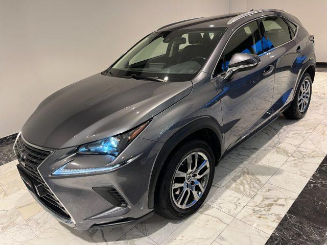 LEXUS NX 300 HYBRID 4WD BUSINESS 155CV