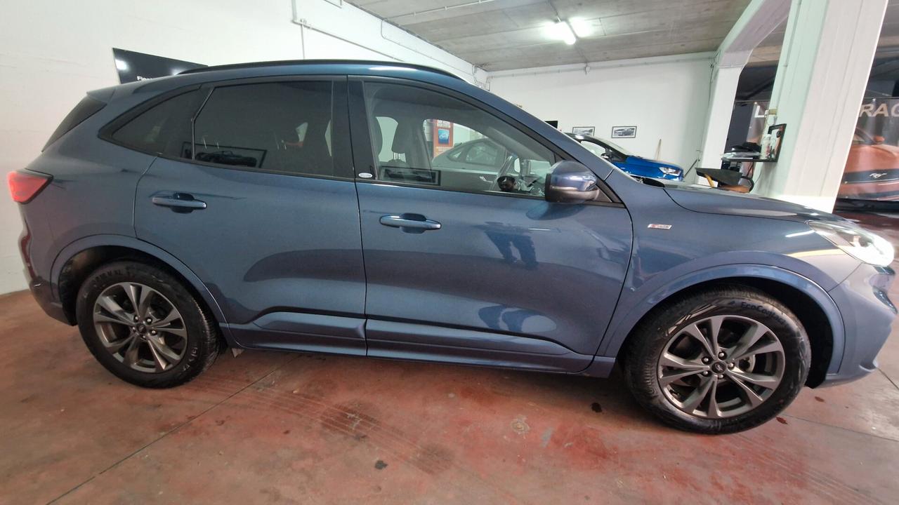 Ford Kuga 1.5 EcoBlue 120 CV aut. 2WD ST-Line led N1