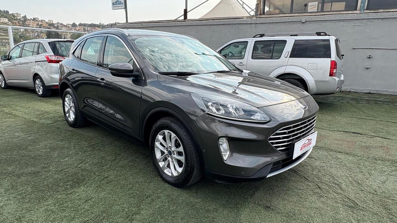 Ford Kuga 1.5 ECOBLUE DFK | DIESEL ZTDA CC 1499 CV 120 KW 88 SUV, 5 P. (1024914)