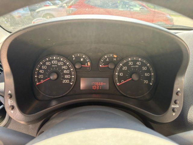 FIAT Panda 1.2 Climbing Natural Power OK NEOPATENTATO
