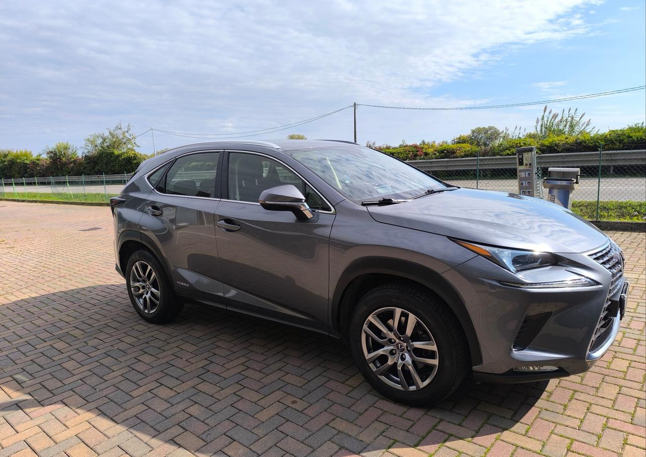 Lexus NX 300h Hybrid Business