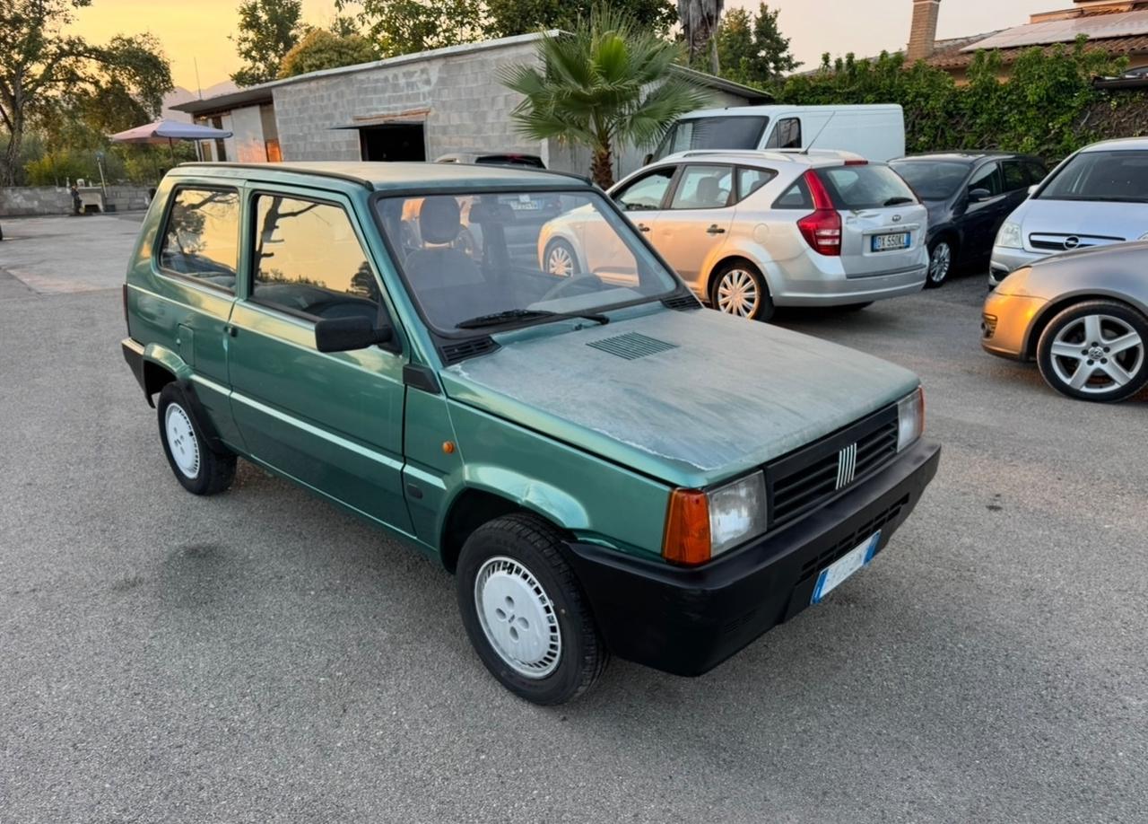 Fiat Panda 1100 i.e. cat Hobby