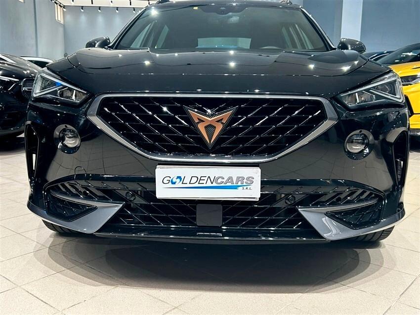 Cupra Formentor 2.0 TDI 4Drive DSG