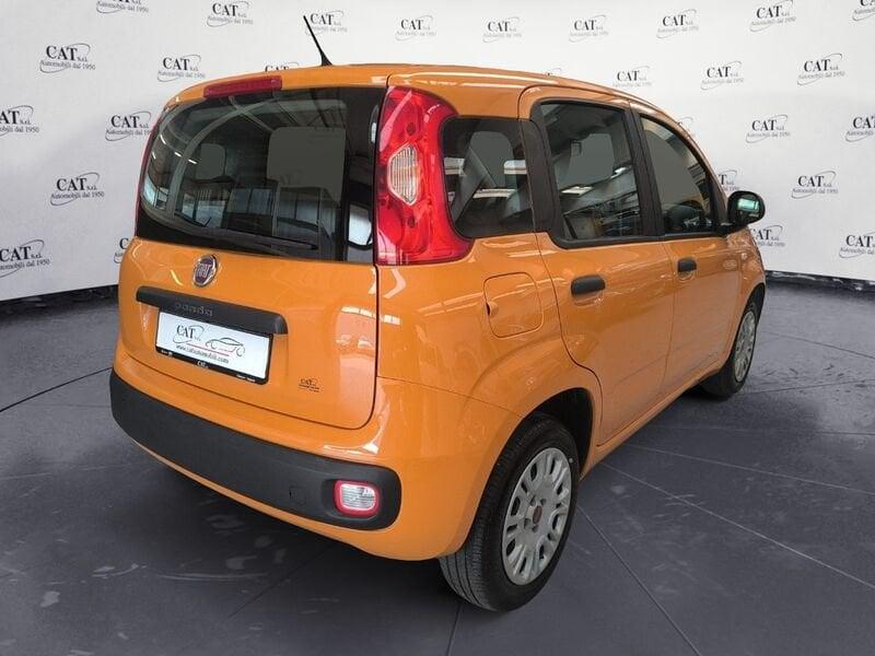 FIAT Panda Panda 1.2 Easy (PREZZO REALE)
