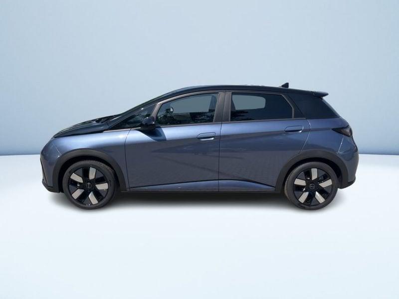 BYD DOLPHIN Design