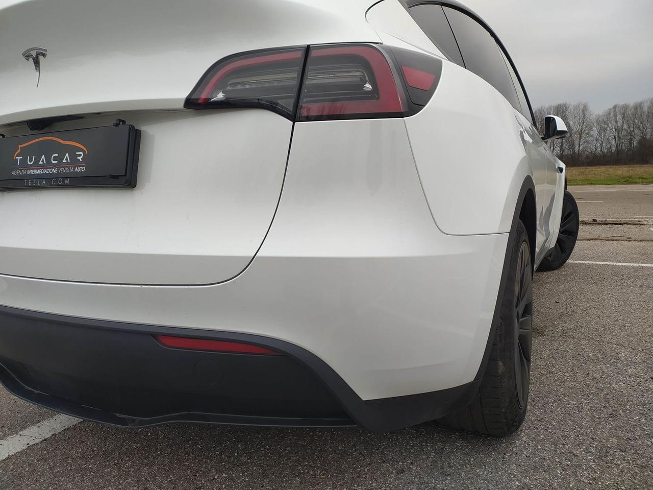 Tesla Model Y Standard Range / Standard #9113