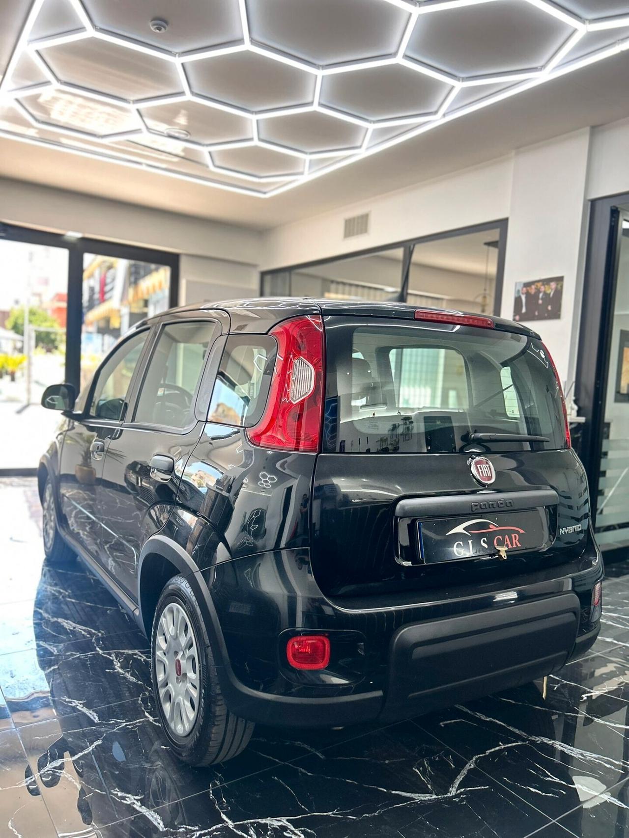 Fiat Panda 1.0 FireFly S&S Hybrid/benzina 100 cv City Cross