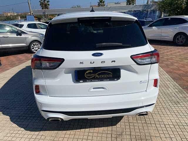 Ford Kuga 1.5 EcoBlue 120 CV 2WD ST-Line