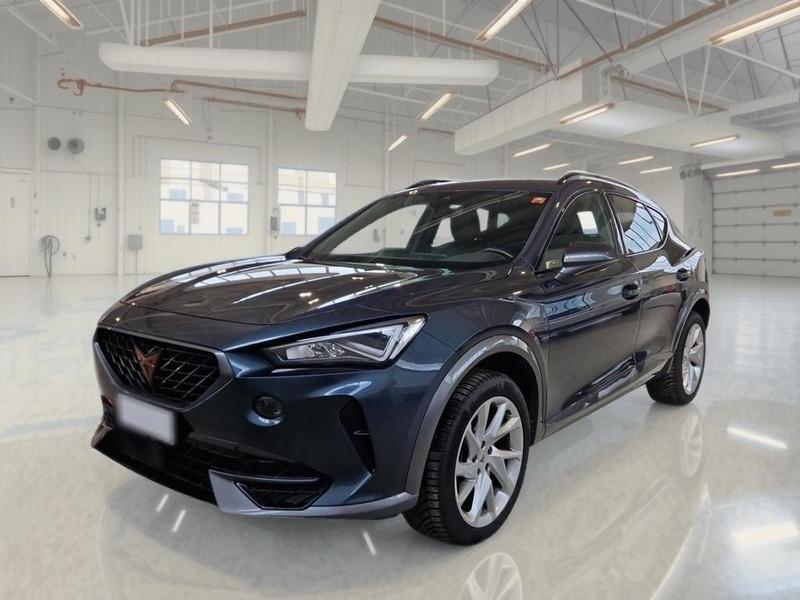 CUPRA FORMENTOR 2.0 TDI 4DRIVE DSG SUV