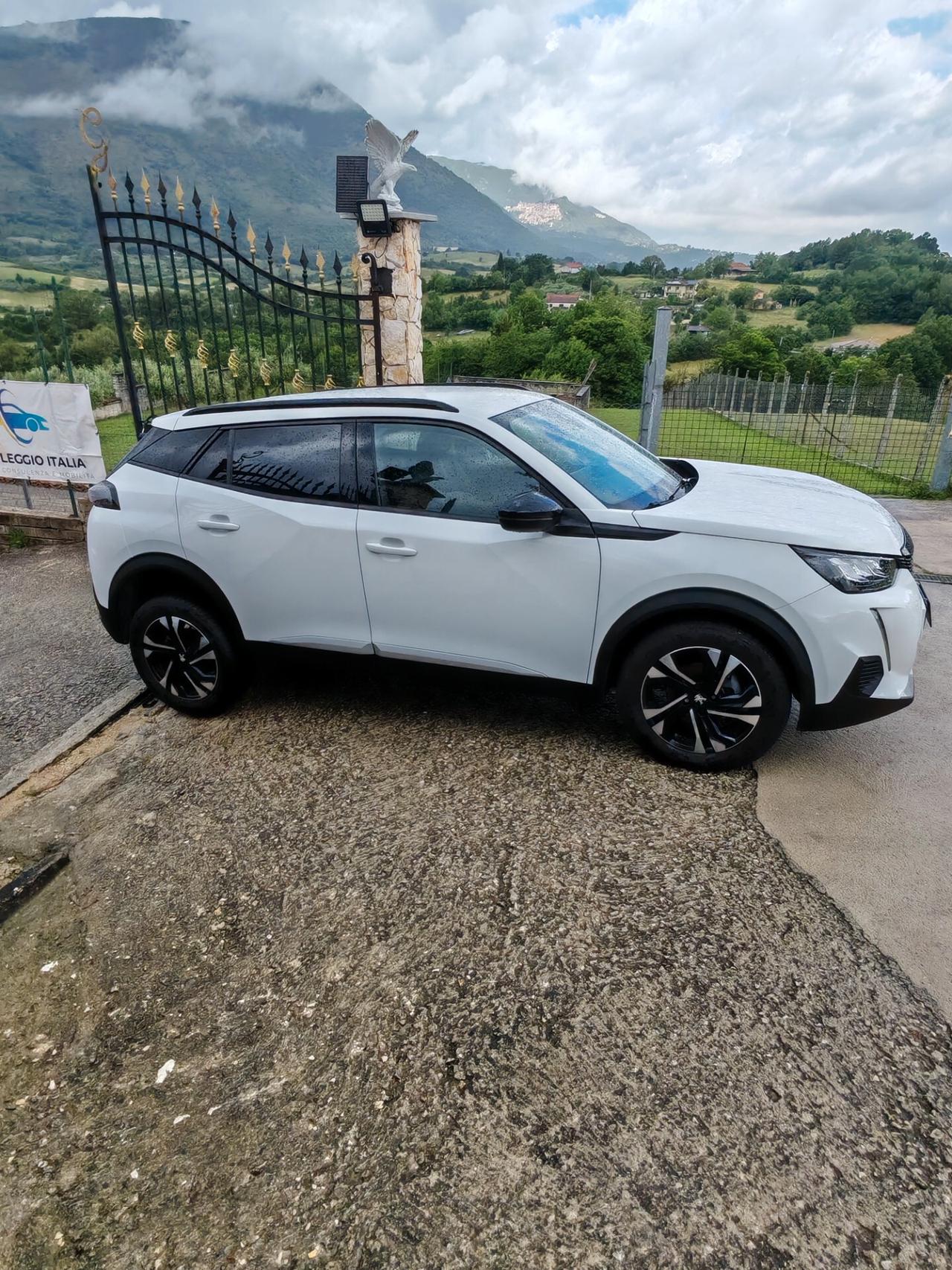 Peugeot 2008 PureTech 100 S&S