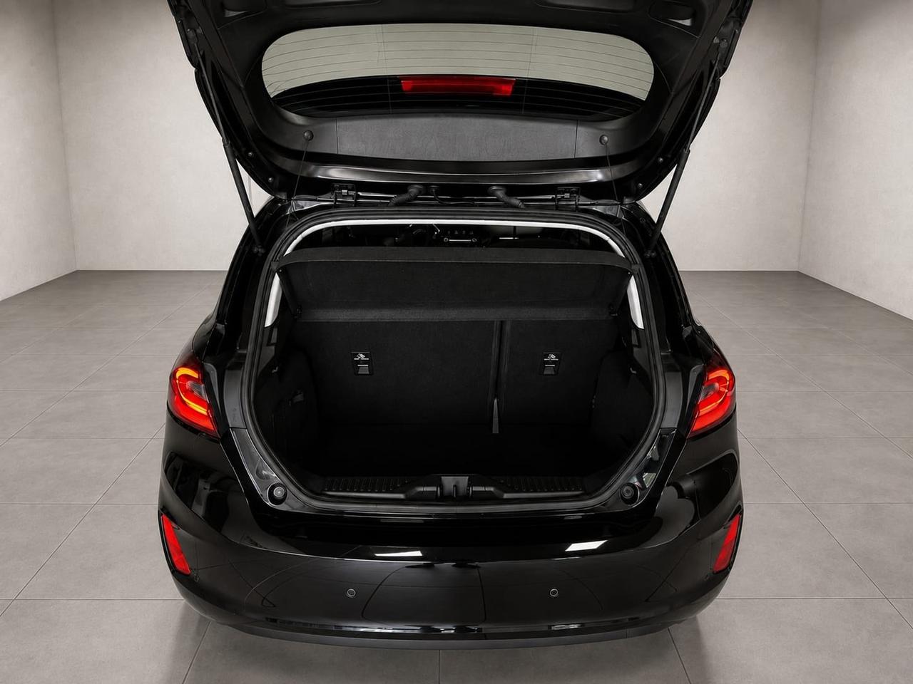 Ford Fiesta 1.5 EcoBlue 5 porte Vignale