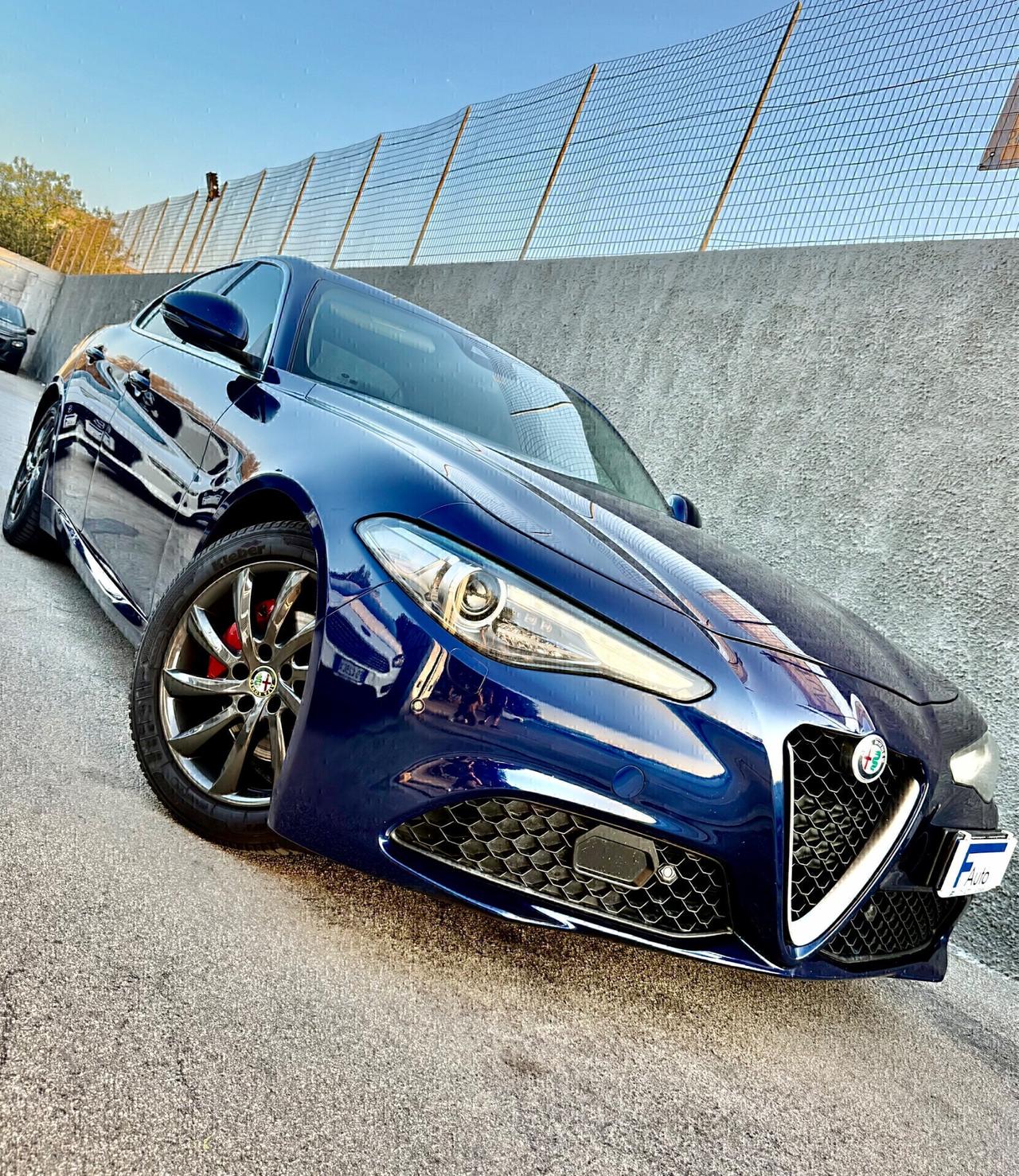 Alfa Romeo Giulia 2.2 TD 180 CV,LED+Xeno,Navi,Retrocam.,Pelle,ecc.