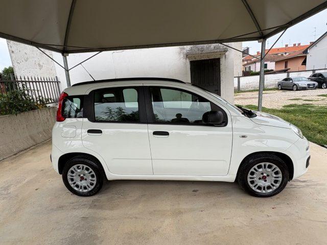 FIAT Panda 1.2 Easy EURO 6 5 POSTI OK NEOPATENTATI
