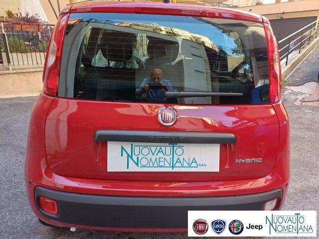 FIAT Panda 1.0 FireFly S&S Hybrid Icon 5°Posto Auto Nuova