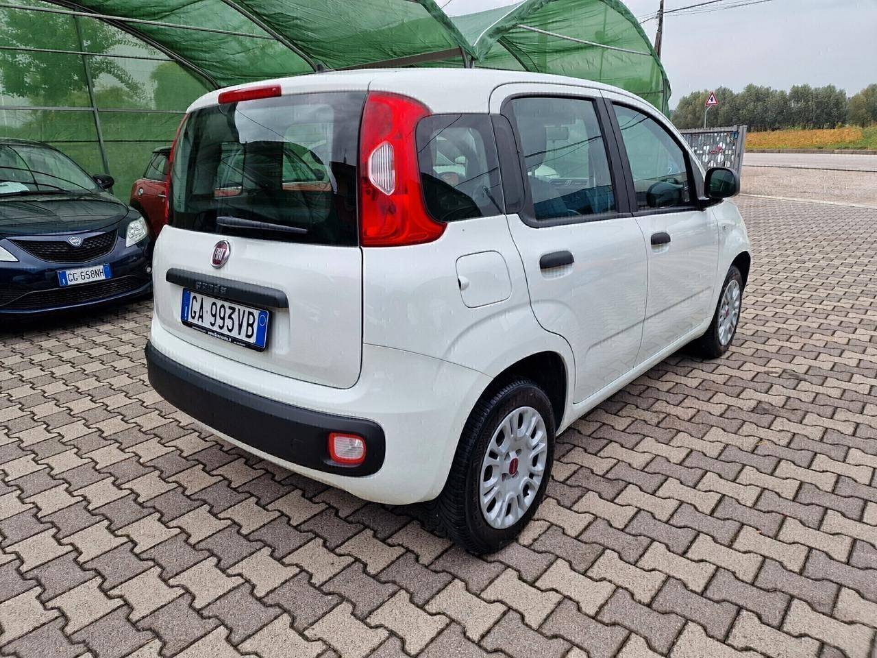 Fiat Panda 1.2 Easy 69 Cv ok Neopatentati