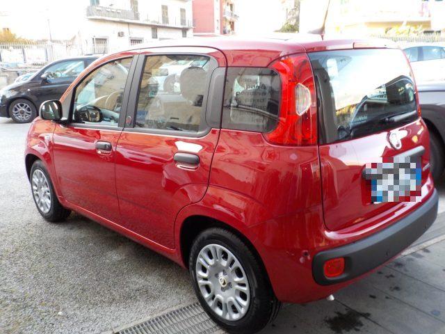 FIAT Panda MY25 - 1.0 FireFly Hybrid POP