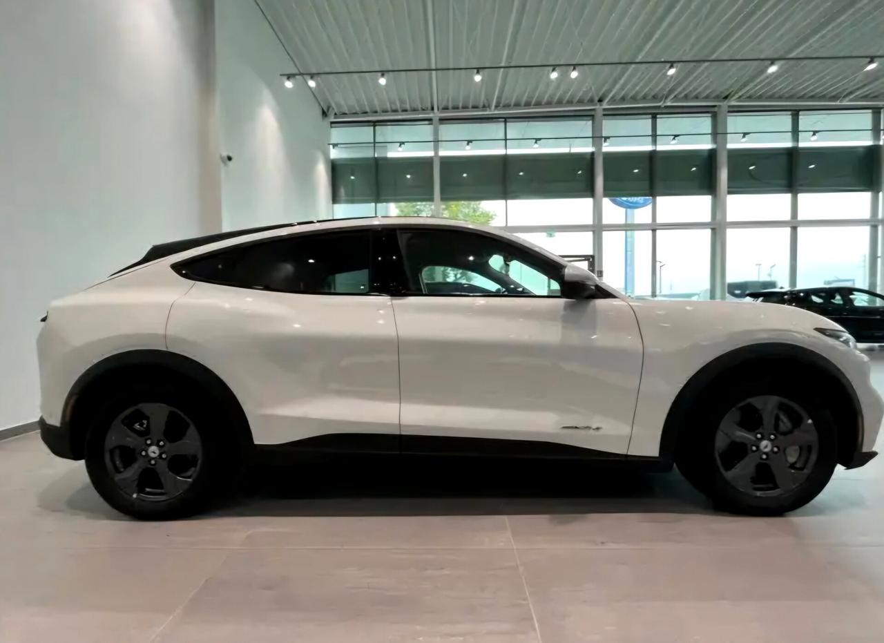 Ford Mustang Mach-E Standard Range 269 CV