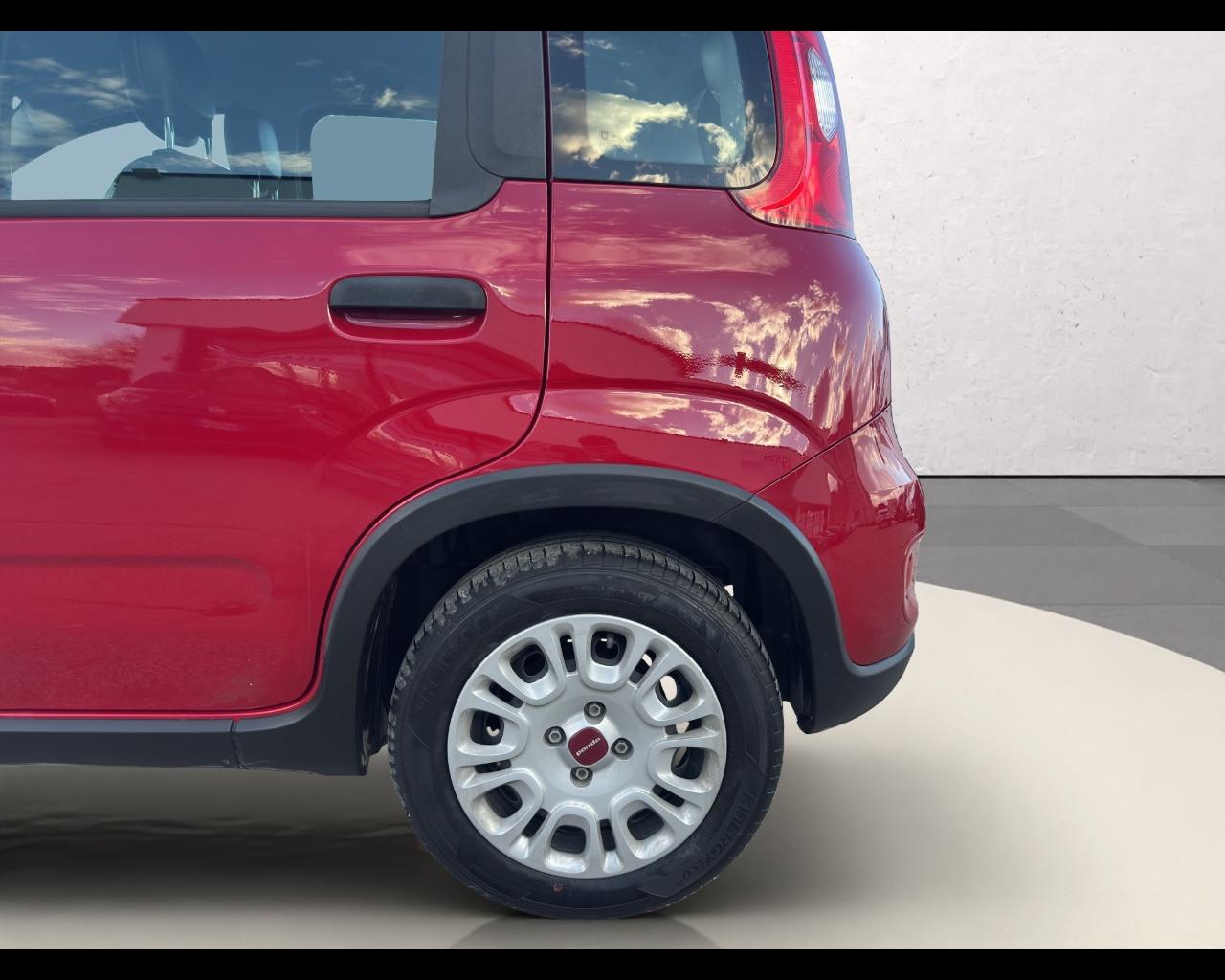 FIAT Panda My24 1.0 70cv Hybrid Panda