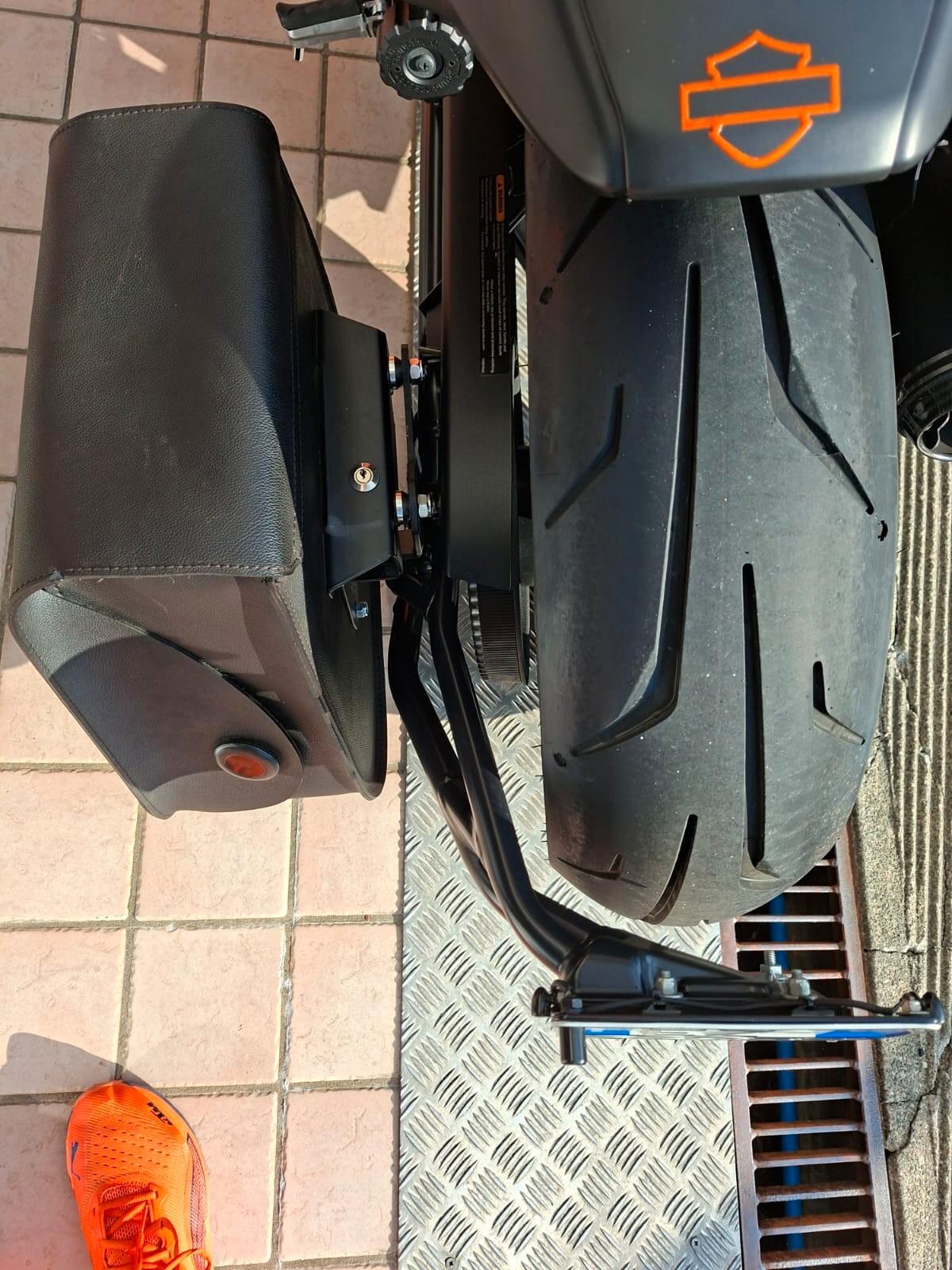 Harley-davidson Altro Sport Sporster 1250 S