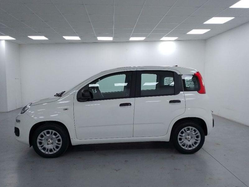 FIAT Pandina 1.0 firefly hybrid Icon s e s 70cv