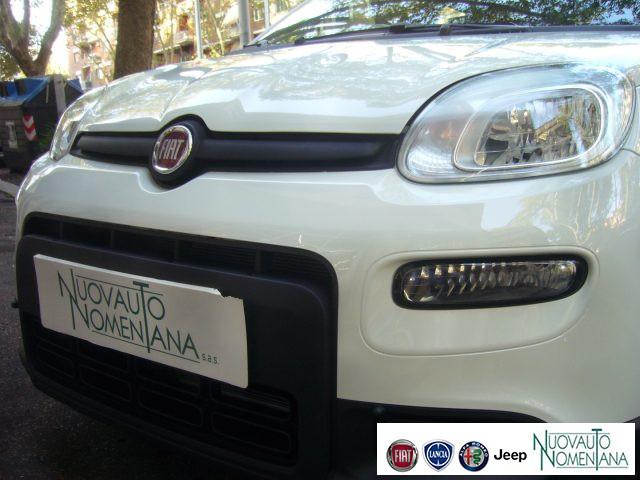 FIAT Panda 1.0 FireFly S&S Hybrid 5°Posto Radio Fiat