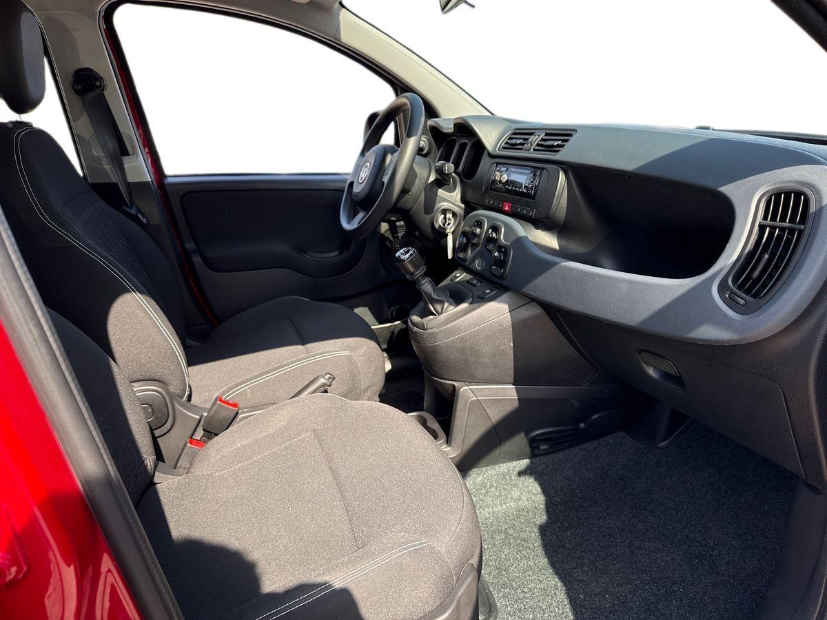 FIAT Panda III 2021 - Panda 1.0 firefly hybrid s&s 70cv