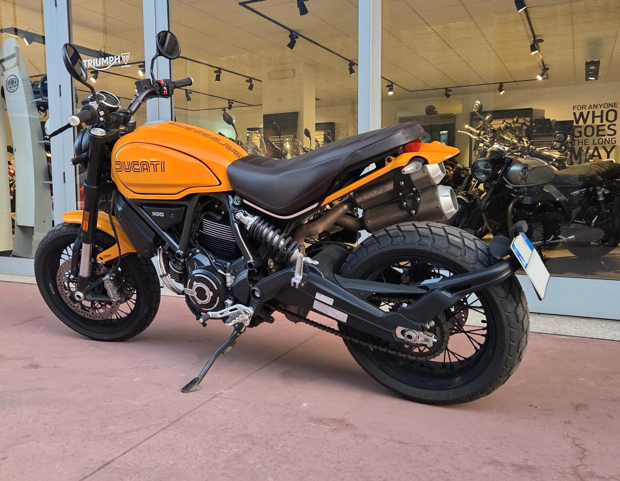 Ducati Scrambler 1100 TRIBUTE PRO