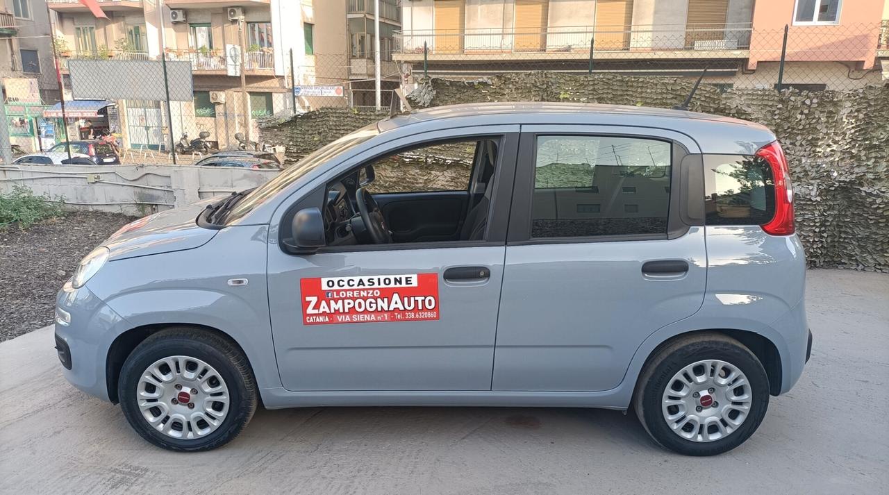 Fiat Panda 1.0 FireFly S&S Hybrid 2021 ZAMPOGNAUTO CT