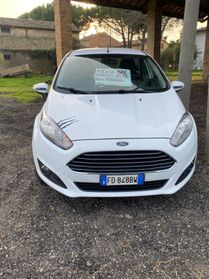 Ford Fiesta 1.4 5 porte Bz.- GPL Black & White Edition