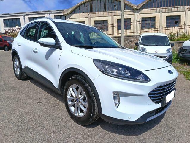 FORD Kuga 1.5 EcoBlue 120 CV aut. 2WD Titanium Business