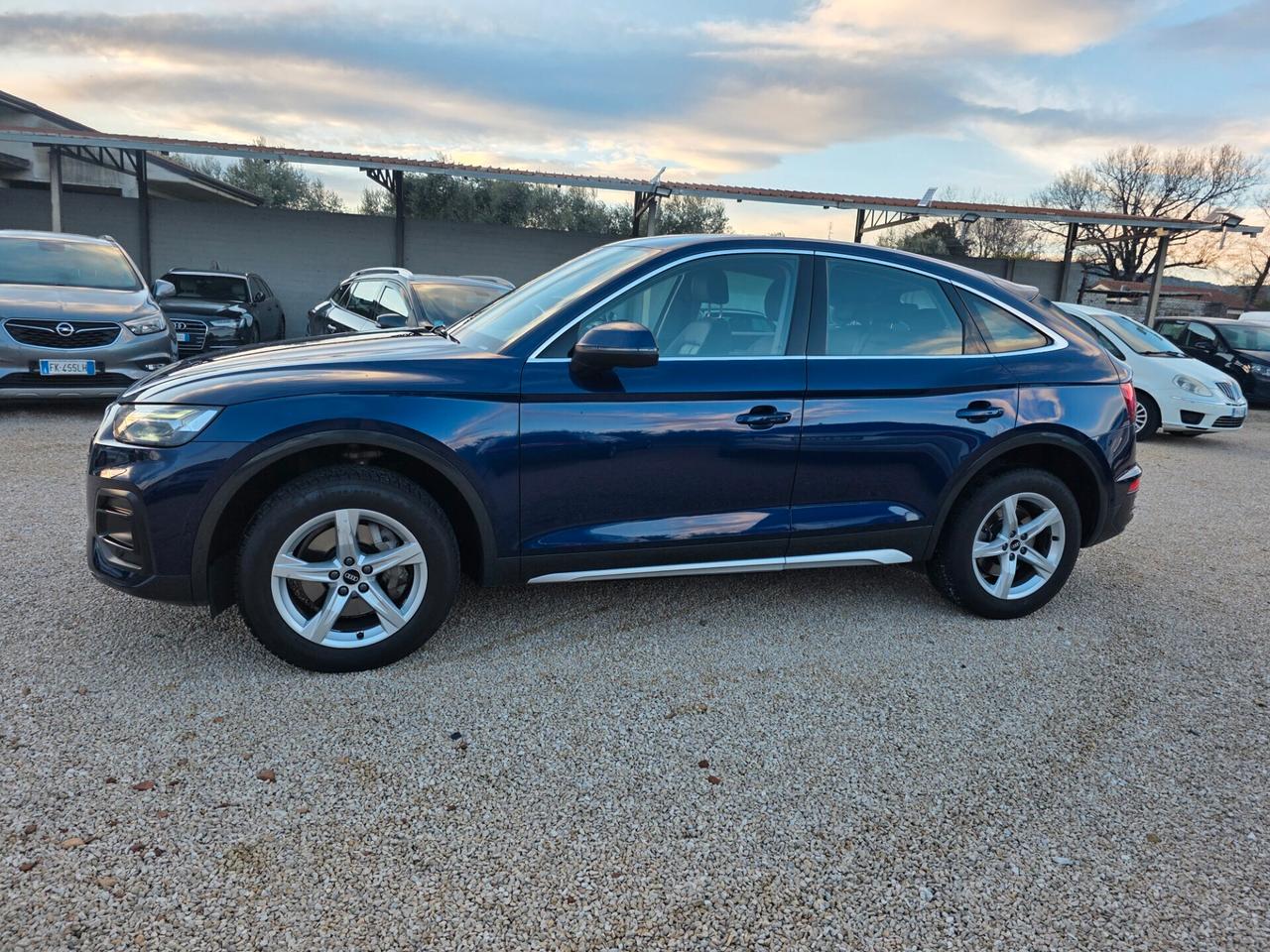 Audi Q5 40 TDI 204 CV quattro S tronic line plus