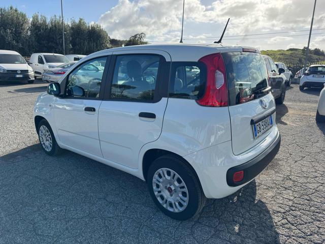 FIAT Panda PANDA 1.2 69cv S&S E6d-Temp Easy