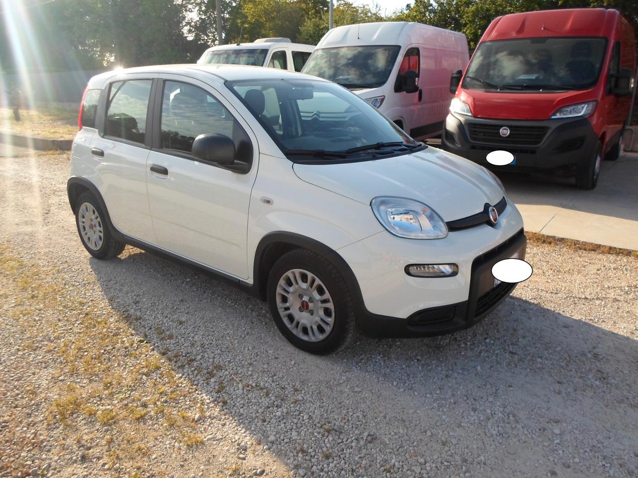 Fiat Panda 1.0 FireFly S&S Hybrid