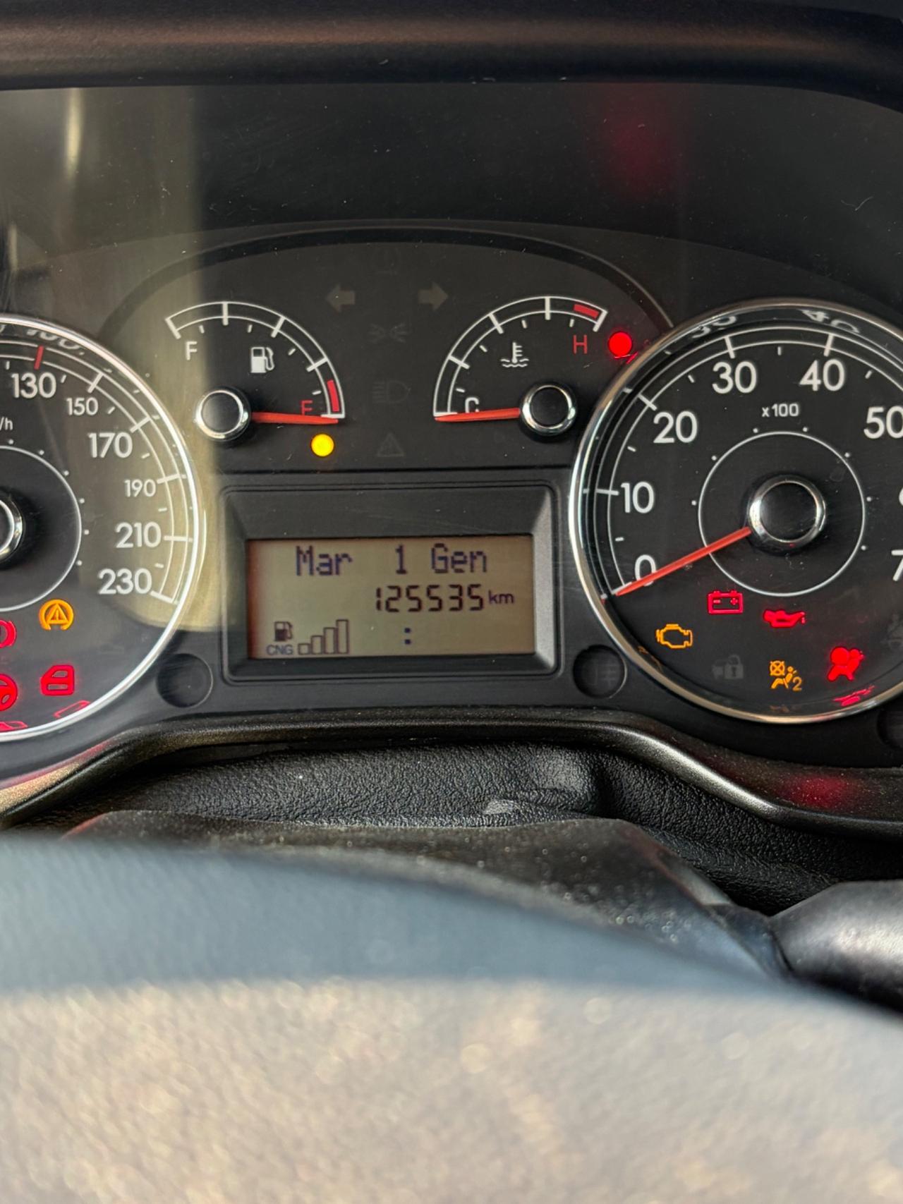 Fiat Grande Punto 1.4 5 porte Active Natural Power
