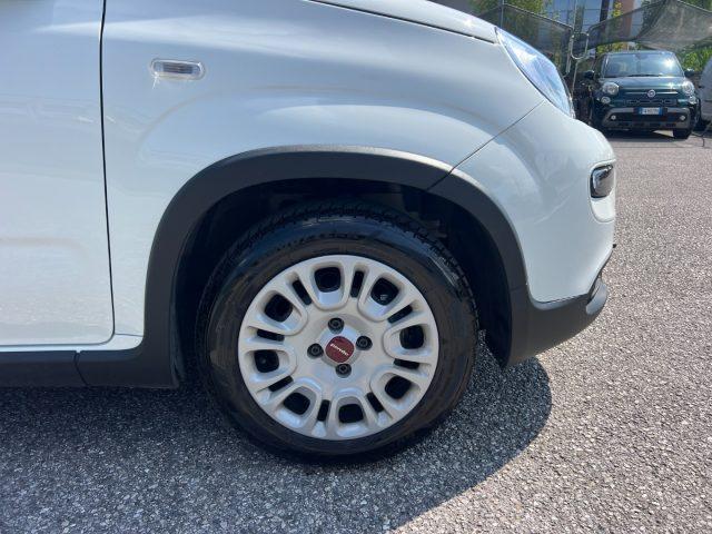 FIAT Panda 1.0 FireFly S&S Hybrid 70CV UNICO PROPRIETARIO