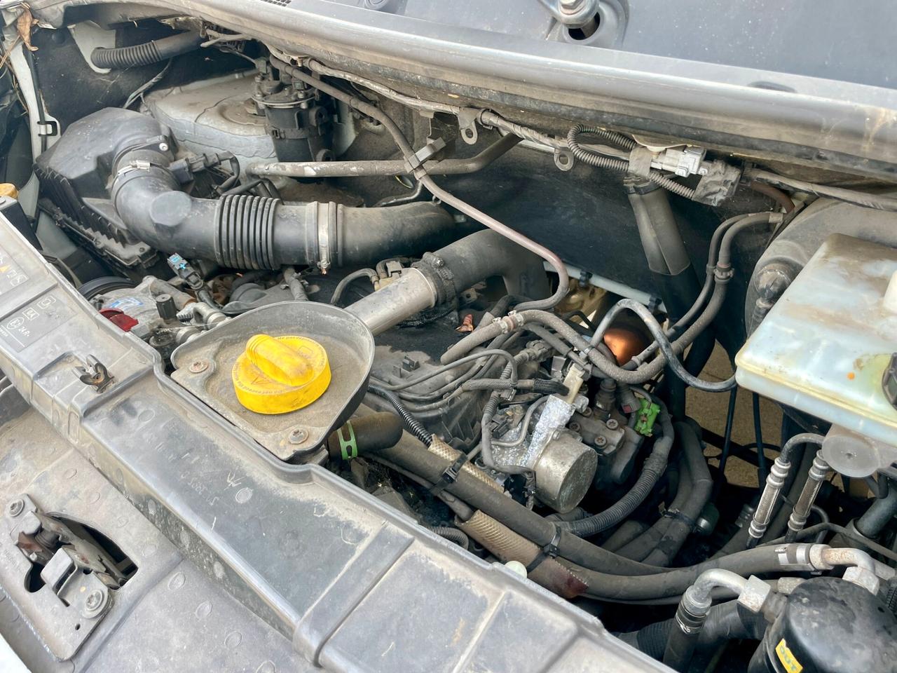 RENAULT van MASTER T35 DCI FRIGO - CELLA A PIASTRE PER SURGELATO