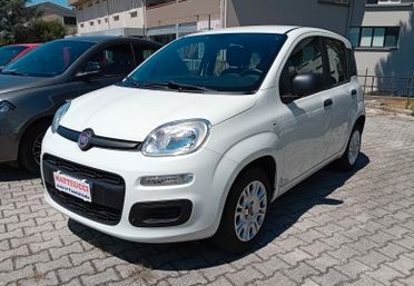 FIAT PANDA 1.2 BENZINA 69 CV EASY