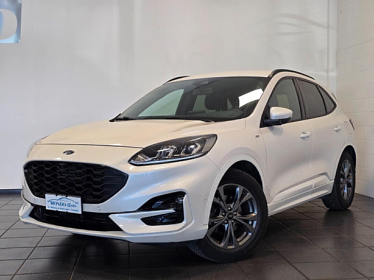 Ford Kuga 1.5 EcoBlue 120 CV aut. 2WD ST-Line X 2020