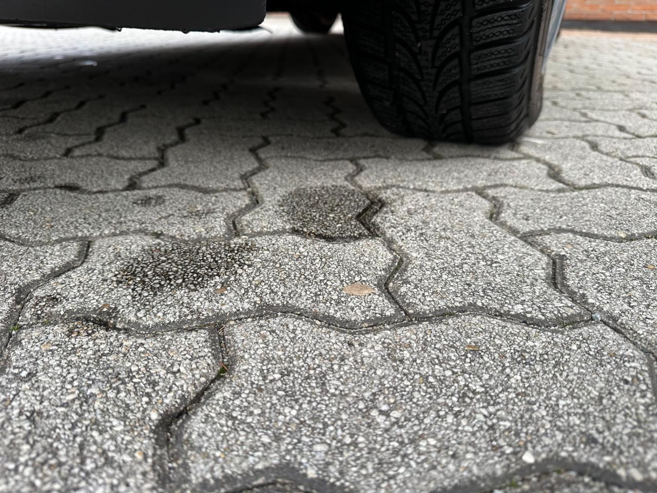 Renault Scenic Scénic 1.4 16V Serie Speciale