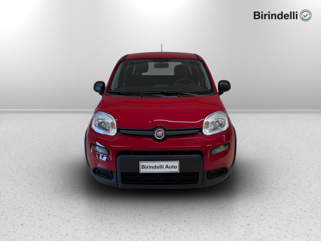 FIAT Panda 3ª serie - Panda 1.0 FireFly S&S Hybrid