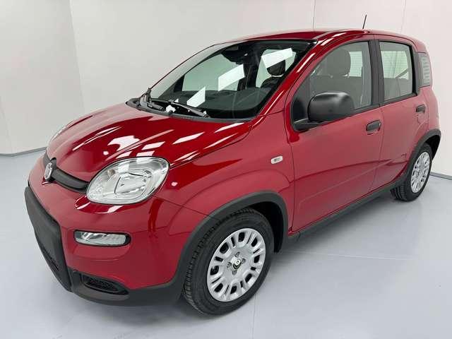 Fiat Panda *PANDINA* 1.0 HYBRID 69CV*CRUISE+SENSORI*ONLYPROMO