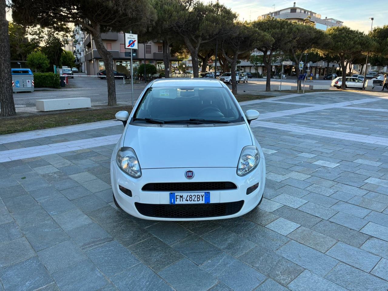 Fiat Punto 1.3 MJT 95CV S&S 5 porte Van 4 posti N1